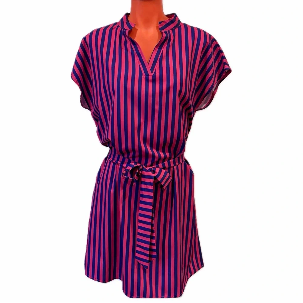 Striped Pink and Blue Tie-Waist Bodycon Dress